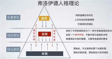 人類三大欲望|弗洛伊德欲望理论的主要内容